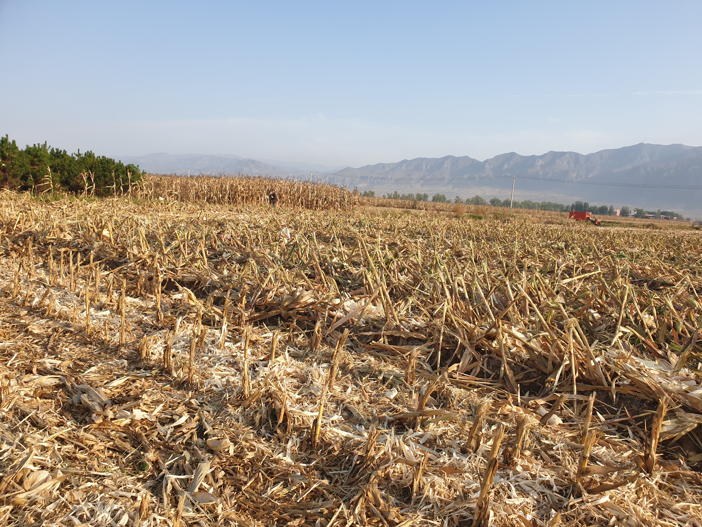 微信圖片_20191017081609.jpg 微信圖片_20191017081609.jpg